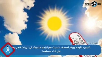 شبورة كثيفة ورياح تعصف السبت مع تراجع ملحوظ في درجات الحرارة – هل أنت مستعد؟
